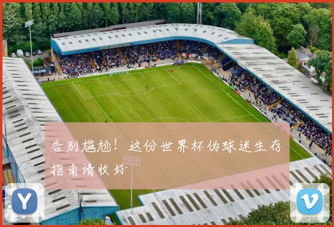 告别尴尬!这份世界杯伪球迷生存指南请收好