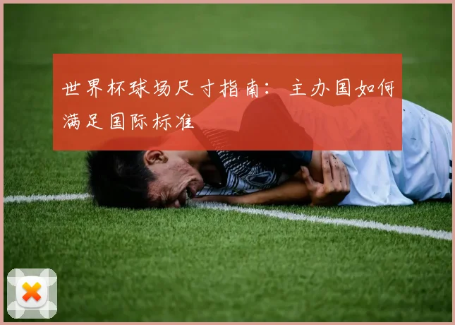 世界杯球场尺寸指南:主办国如何满足国际标准