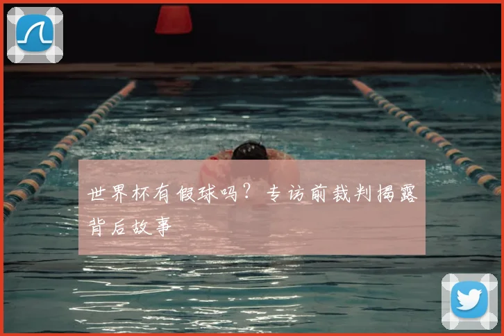 世界杯有假球吗?专访前裁判揭露背后故事