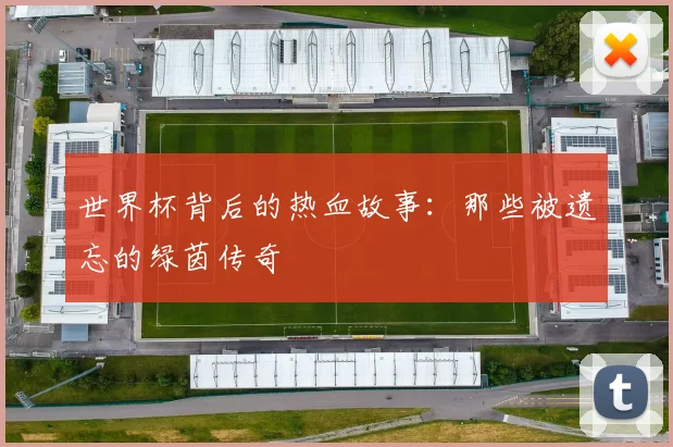世界杯背后的热血故事:那些被遗忘的绿茵传奇