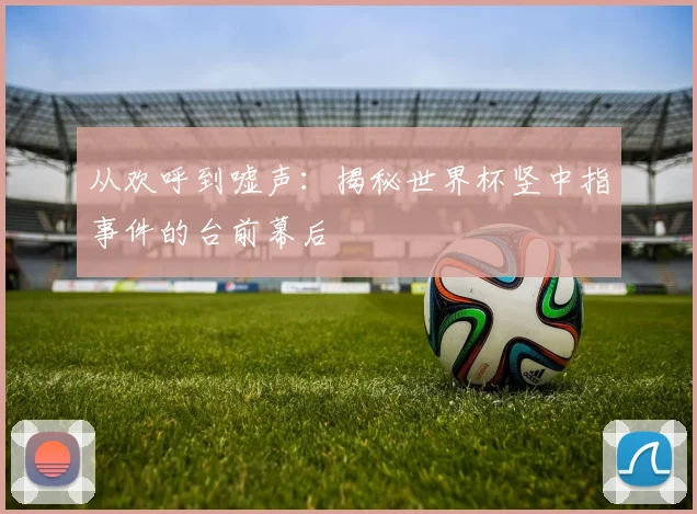 从欢呼到嘘声:揭秘世界杯竖中指事件的台前幕后