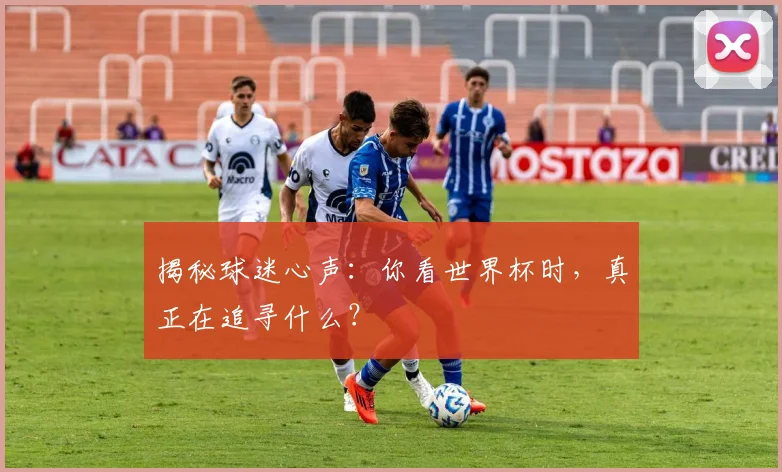 揭秘球迷心声:你看世界杯时,真正在追寻什么?