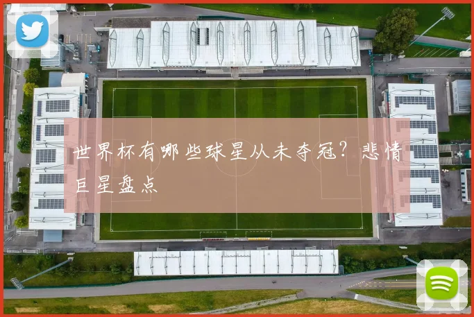 世界杯有哪些球星从未夺冠?悲情巨星盘点