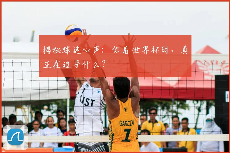 揭秘球迷心声:你看世界杯时,真正在追寻什么?